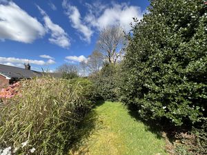 Garden- click for photo gallery